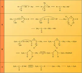 Acides carboxyliques - crédits : Encyclopædia Universalis France