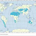 Extension des régions aréiques - crédits : Encyclopædia Universalis France