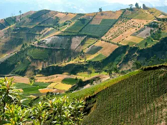 Paysage agricole des hautes terres en Équateur - crédits : Milton Cogheil / EyeEm/ Getty Images