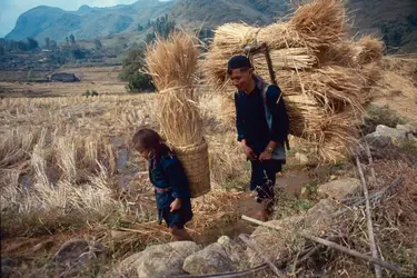 Villageois de la région de Sa Pa (Vietnam) - crédits : Insight Guides