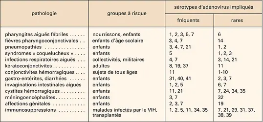 Infections associées aux adénovirus - crédits : Encyclopædia Universalis France