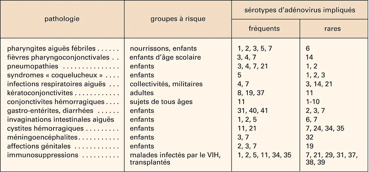 Infections associées aux adénovirus