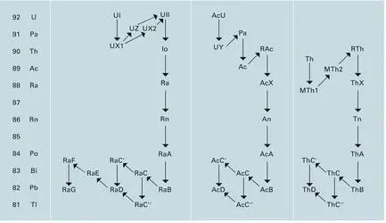 Les trois familles de radioéléments lourds naturels - crédits : Encyclopædia Universalis France