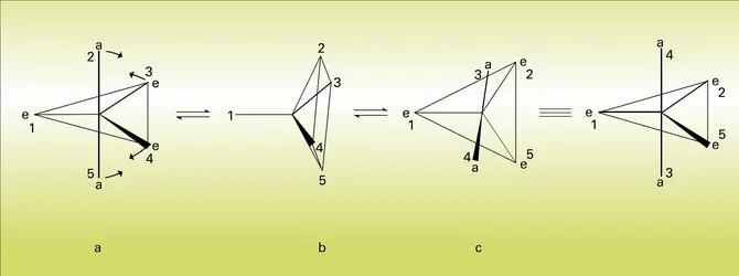 Pseudorotation - crédits : Encyclopædia Universalis France