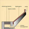 Haut-parleur électrodynamique à bobine mobile - crédits : Encyclopædia Universalis France