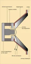 Haut-parleur électrodynamique à bobine mobile - crédits : Encyclopædia Universalis France