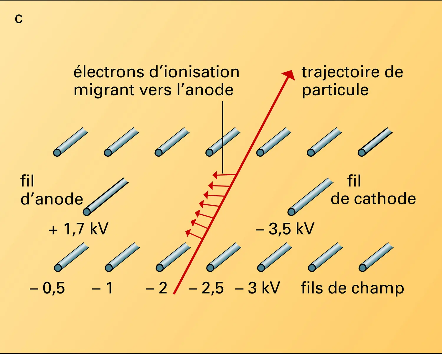 Détecteurs à remplissage gazeux - vue 3