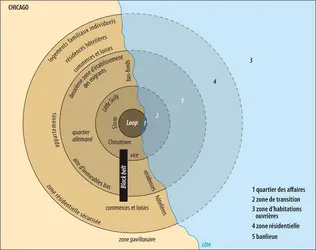 Schéma des « aires concentriques » d’Ernest Burgess - crédits : Encyclopædia Universalis France