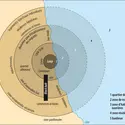 Schéma des « aires concentriques » d’Ernest Burgess - crédits : Encyclopædia Universalis France