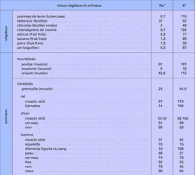 Concentrations moyennes de tissus végétaux et d'animaux - crédits : Encyclopædia Universalis France