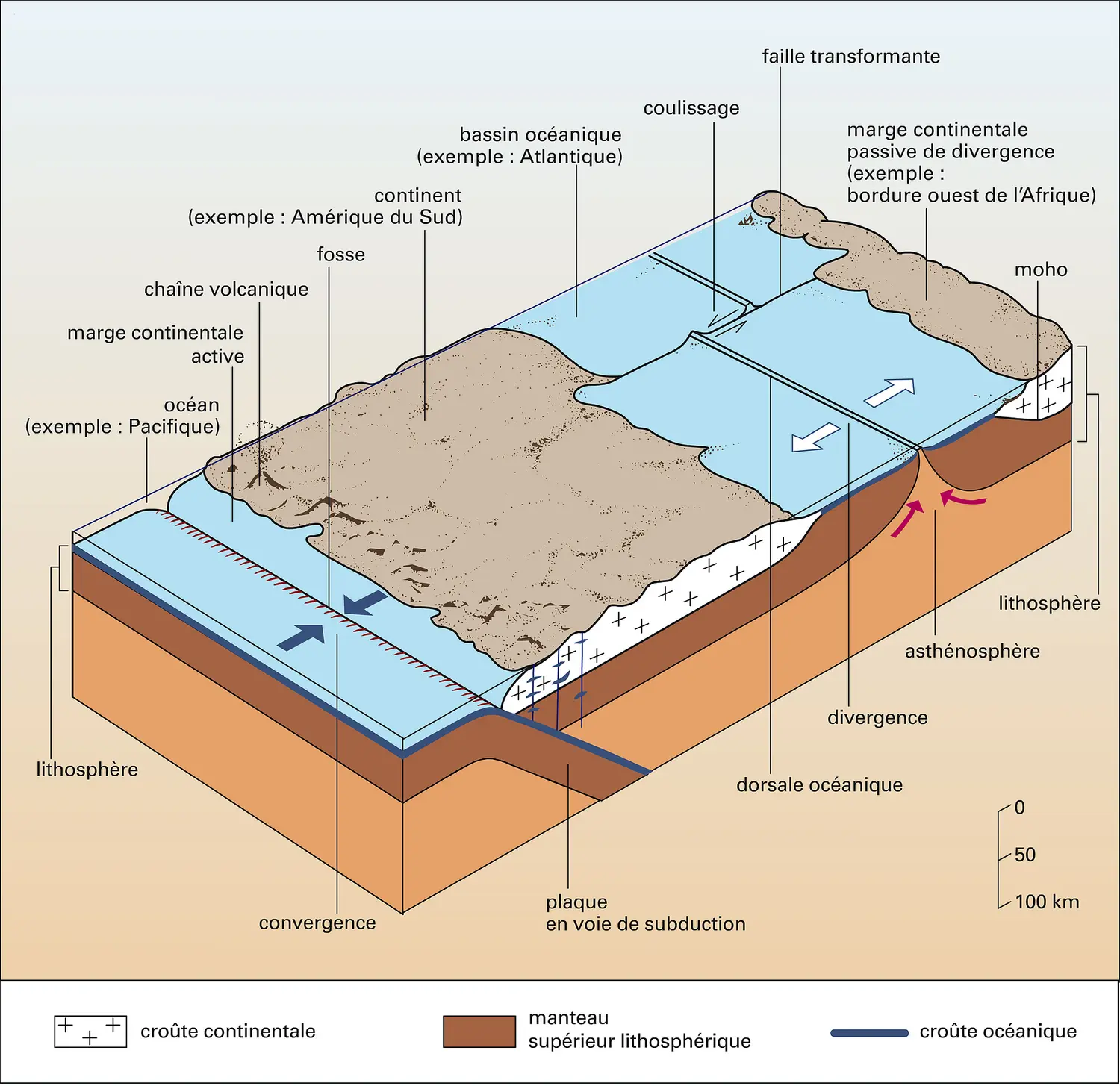 Schéma simplifié de la tectonique des plaques