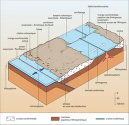 Schéma simplifié de la tectonique des plaques - crédits : Encyclopædia Universalis France