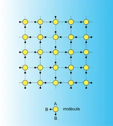 Désordre réticulaire du type glace - crédits : Encyclopædia Universalis France