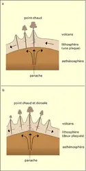 Impact d'un panache magmatique sur la lithosphère - crédits : Encyclopædia Universalis France