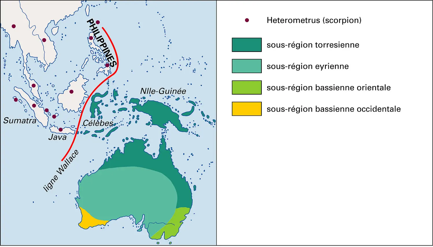 Australie : zoogéographie