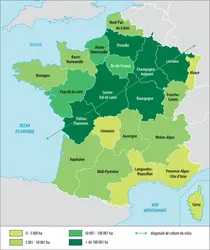 Colza : zones de culture en France - crédits : Encyclopædia Universalis France