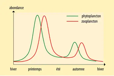 Fluctuation du plancton au cours d'une année - crédits : Encyclopædia Universalis France