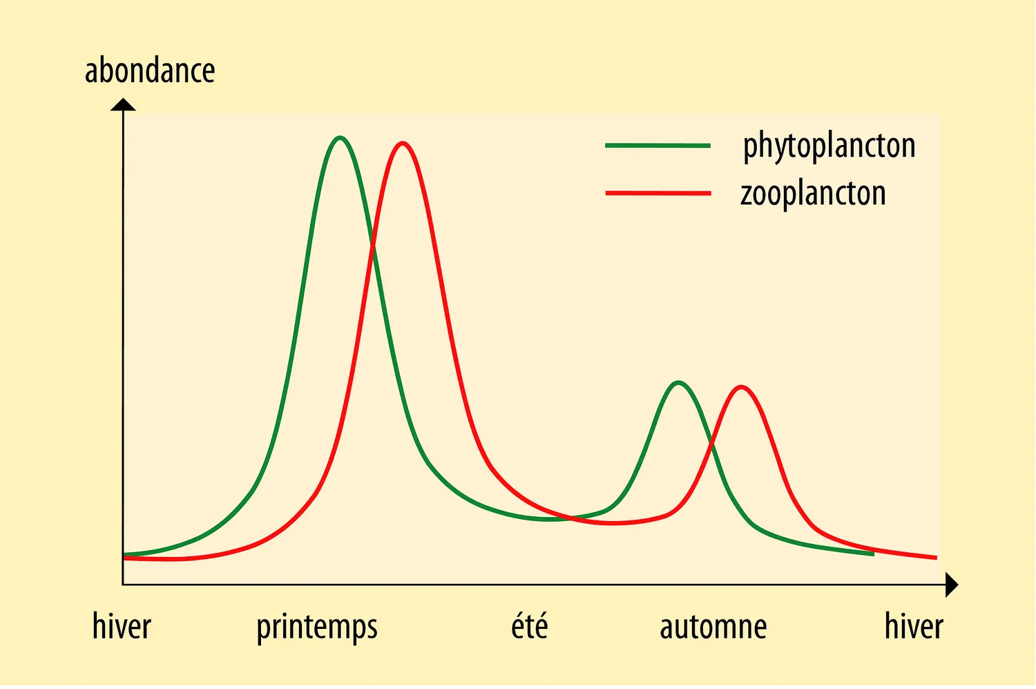 Fluctuation du plancton au cours d'une année