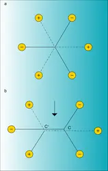 Domaine cristallin sans centre de symétrie - crédits : Encyclopædia Universalis France