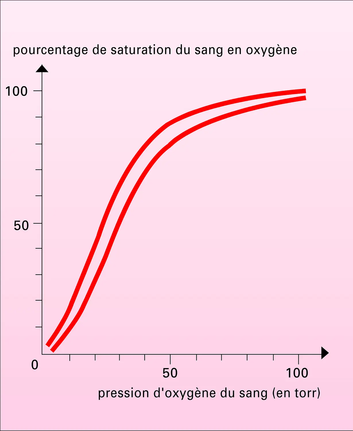 Oxyhémoglobine : courbe de dissociation