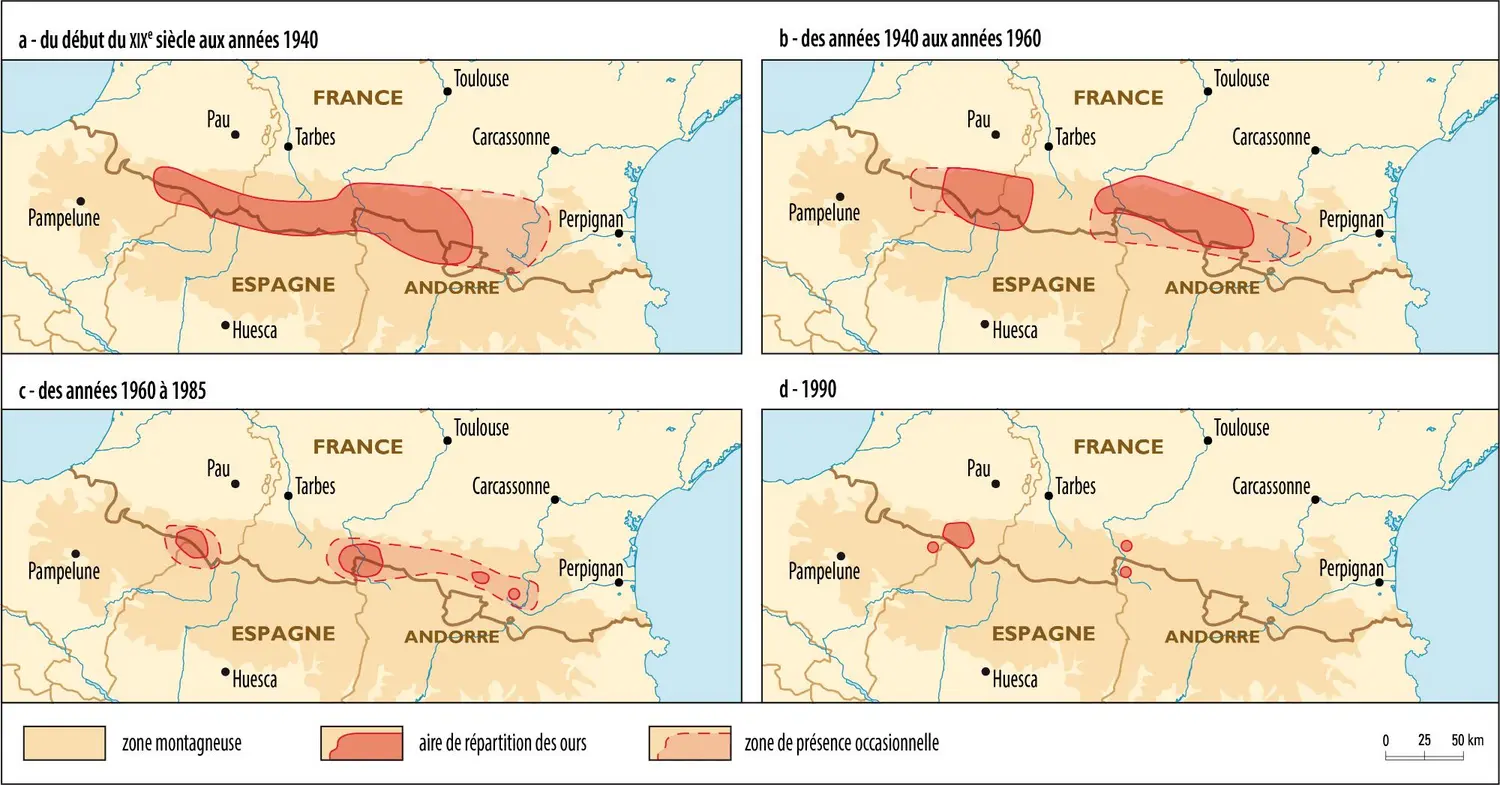 Les ours dans les Pyrénées du XIX<sup>e</sup> siècle à 1990