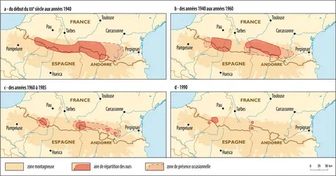 Les ours dans les Pyrénées du XIX<sup>e</sup> siècle à 1990 - crédits : Encyclopædia Universalis France