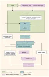 Pêche : évaluation des stocks halieutiques - crédits : Encyclopædia Universalis France