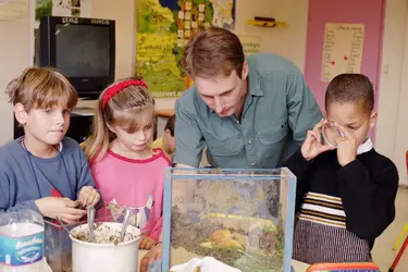 Enseignement des sciences à l'école primaire: le mouvement «La main à la pâte» - crédits : La main à la pâte, 2001