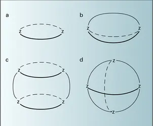 Structures macropolycycliques - crédits : Encyclopædia Universalis France