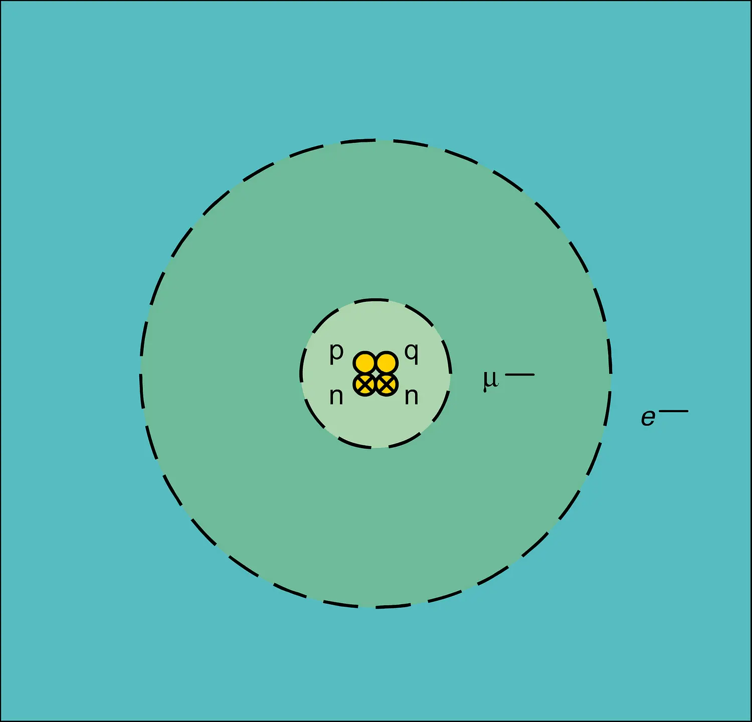 Hélium muonique : orbites de Bohr