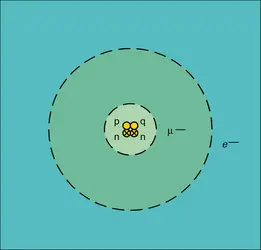 Hélium muonique : orbites de Bohr - crédits : Encyclopædia Universalis France