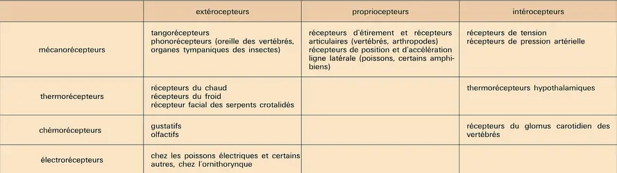 Objectivisme et fonctionnalisme - crédits : Encyclopædia Universalis France
