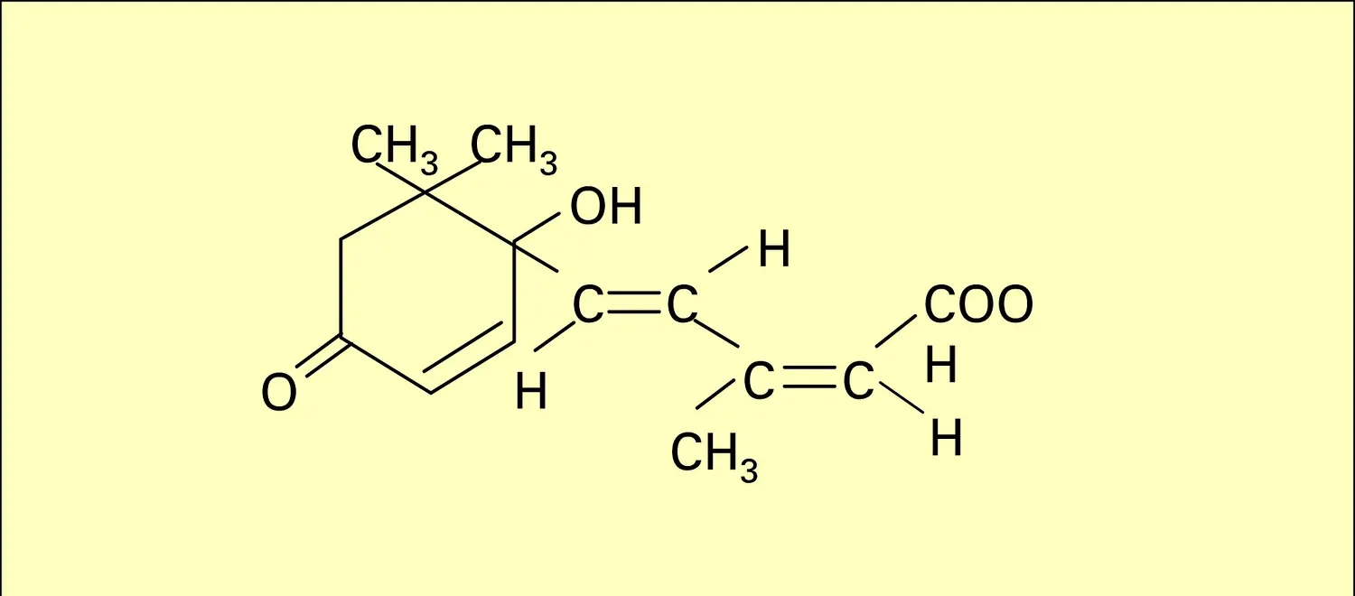 Dormine