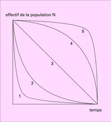 Courbes de survie - crédits : Encyclopædia Universalis France