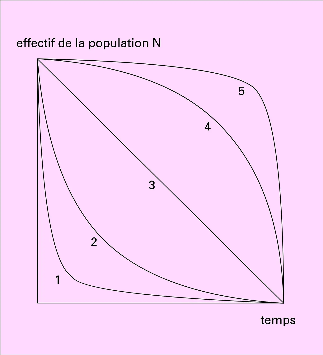 Courbes de survie