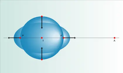 Réponse statique à la force génératrice des marées - crédits : Encyclopædia Universalis France