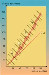 Noyaux stables et radioactifs : répartition - crédits : Encyclopædia Universalis France