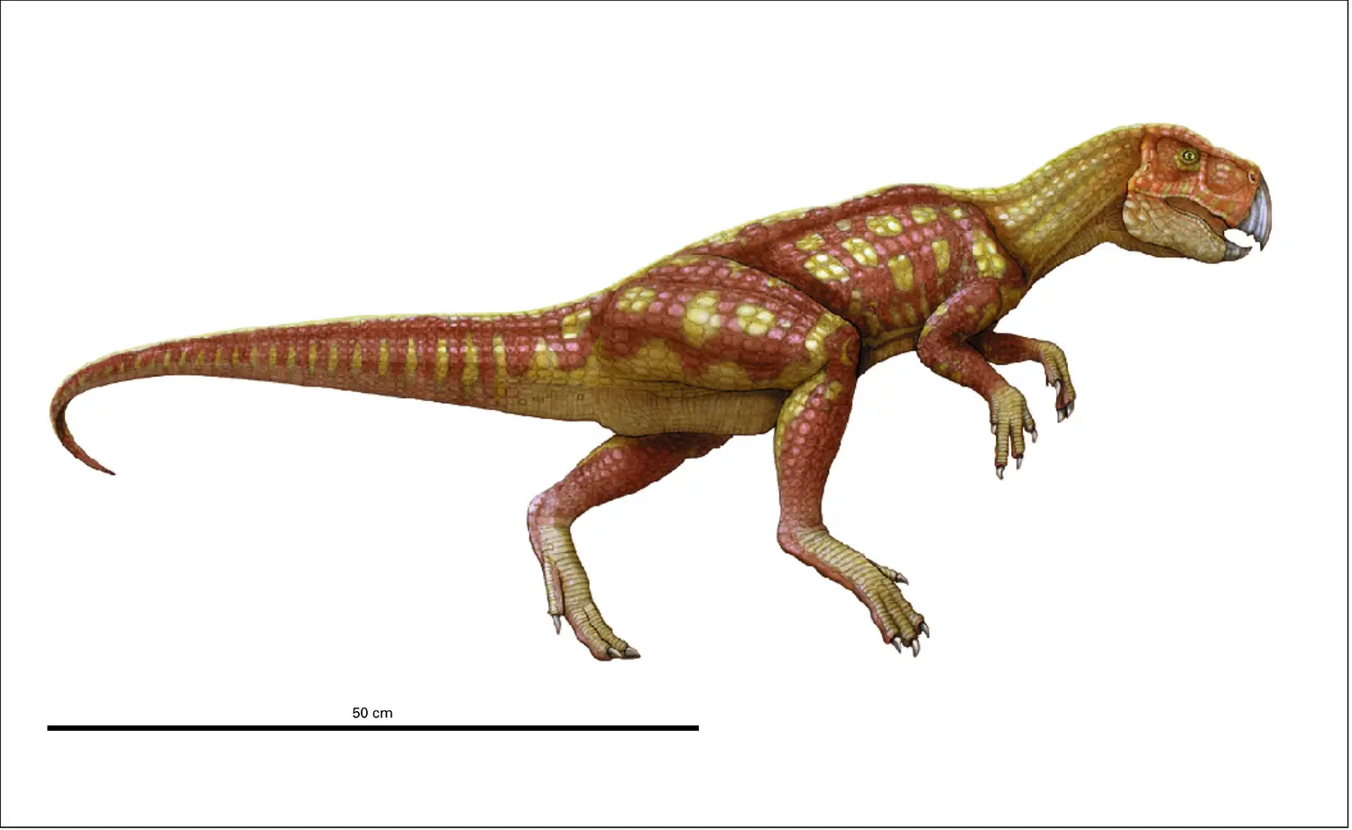 Psittacosaurus