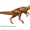 Psittacosaurus - crédits : Encyclopædia Universalis France