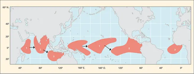 Propagation d'El Niño (E.N.S.O.) - crédits : Encyclopædia Universalis France