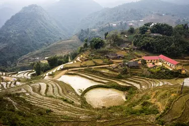 Rizières en terrasses, Vietnam - crédits : SPC#JAYJAY/ Moment Open/ Getty Images