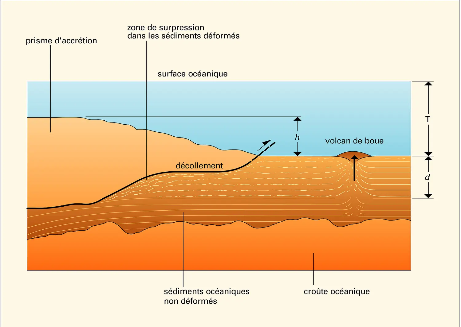 Circulation des fluides dans un prisme d'accrétion