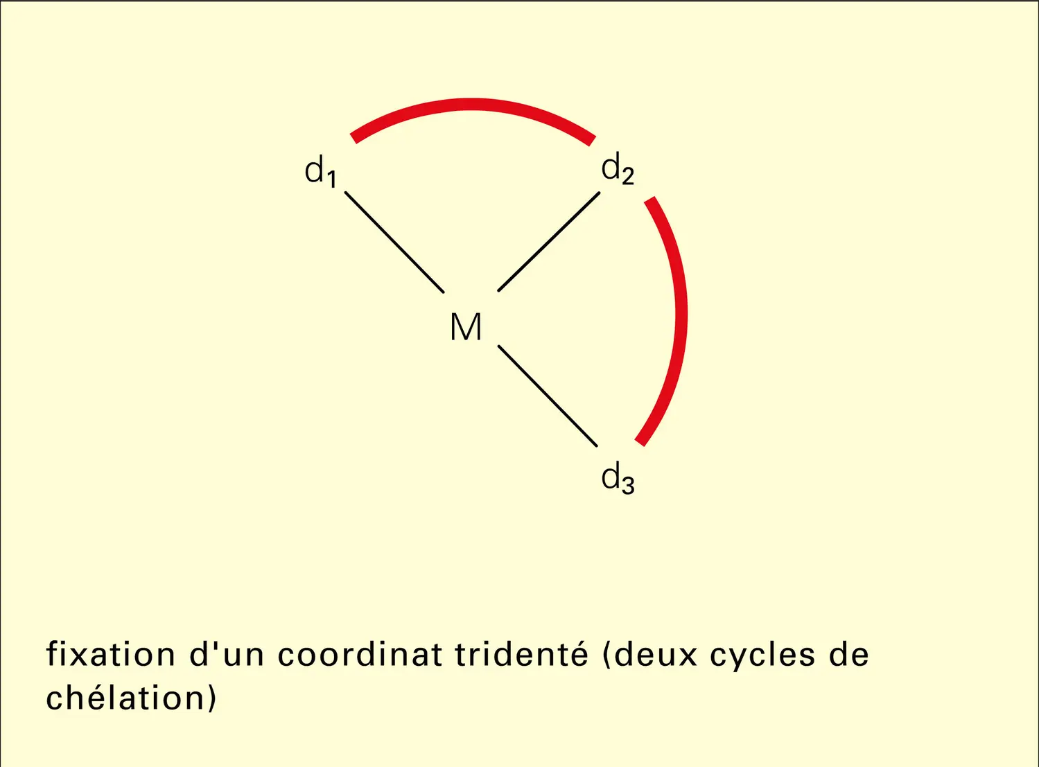 Chélation - vue 3