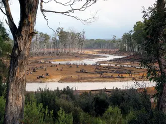 Déforestation dans la vallée de Styx, Tasmanie - crédits : D. Hyde/ Shutterstock