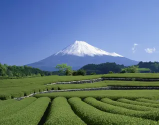 Le Fuji-Yama - crédits : amana images/ Getty Images