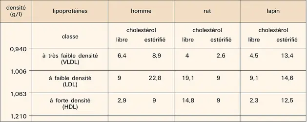 Cholestérol des lipoprotéines plasmatiques - crédits : Encyclopædia Universalis France