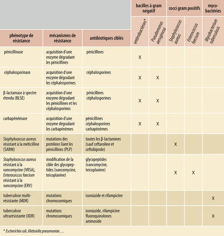 Répertoire des résistances bactériennes aux antibiotiques