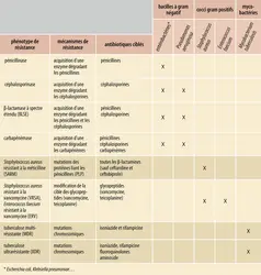 Répertoire des résistances bactériennes aux antibiotiques - crédits : Encyclopædia Universalis France