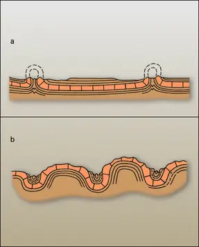 Styles éjectif et déjectif