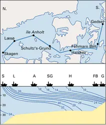 Baltique : profil de salinité dans le Kattegat et la mer des Belt - crédits : Encyclopædia Universalis France